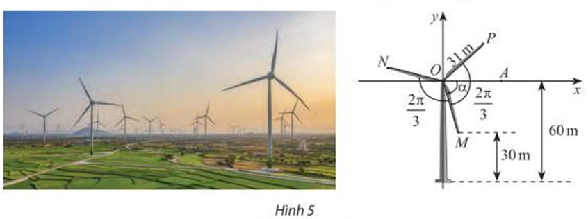 Hình minh họa câu hỏi